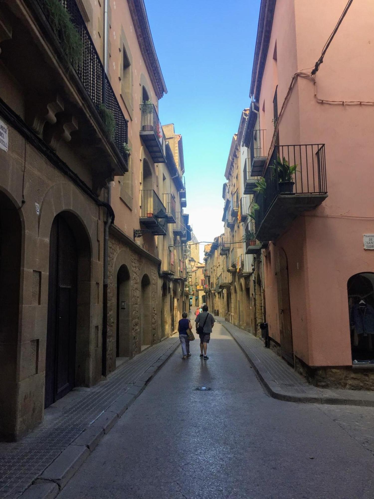 Hotel La Freixera Solsona Extérieur photo